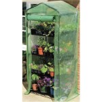 mini outdoor greenhouse image