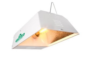 HID grow light image