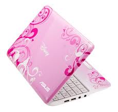 pink disney netpal laptop