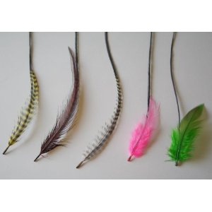feather hair extensions