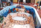 custom airbrushed painted swimming pool image